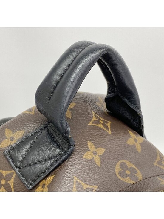 Louis Vuitton Backpack Monogram Palm Spring PM Brown main image 9